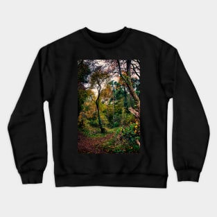 Forest Trees HDR Crewneck Sweatshirt